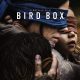 Bird Box