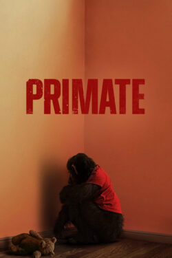 Primate