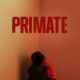 Primate